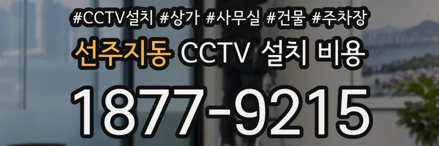 선주지동 CCTV 설치 비용