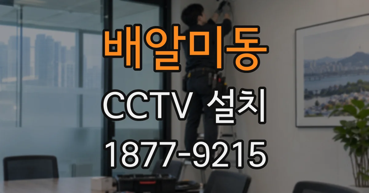 배알미동 CCTV 설치