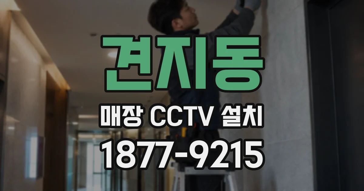 견지동 매장 CCTV 설치