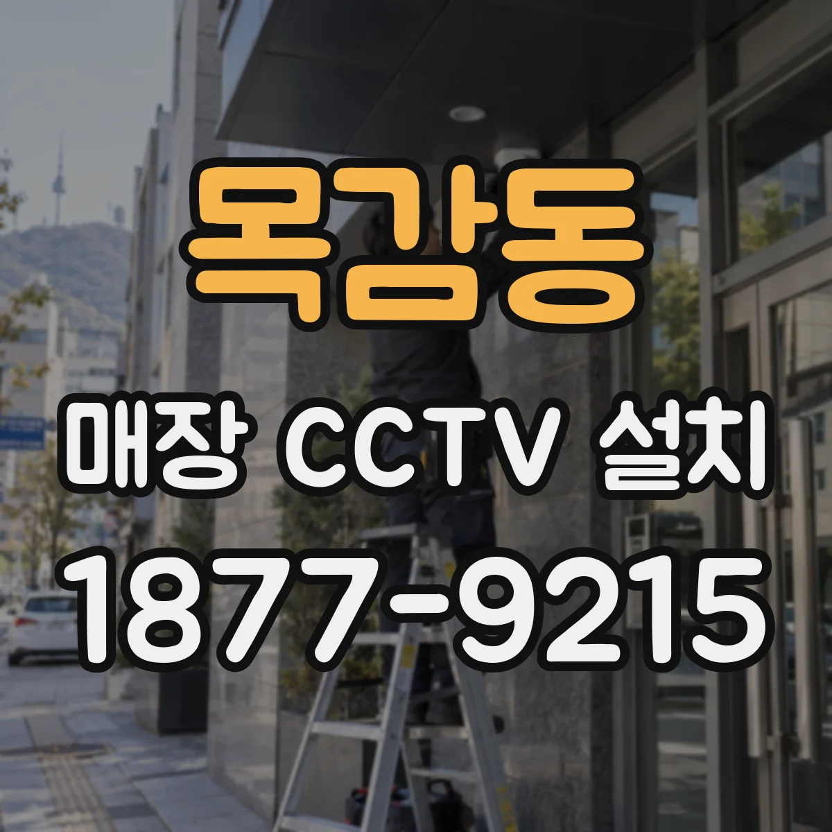 목감동 매장 CCTV 설치