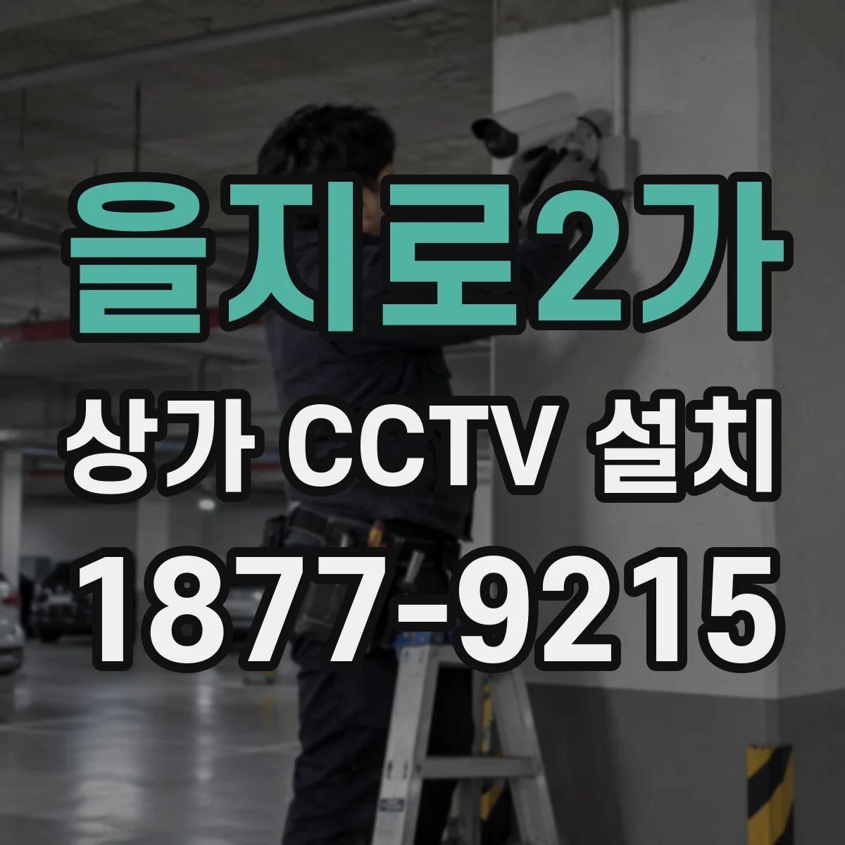 을지로2가 상가 CCTV 설치