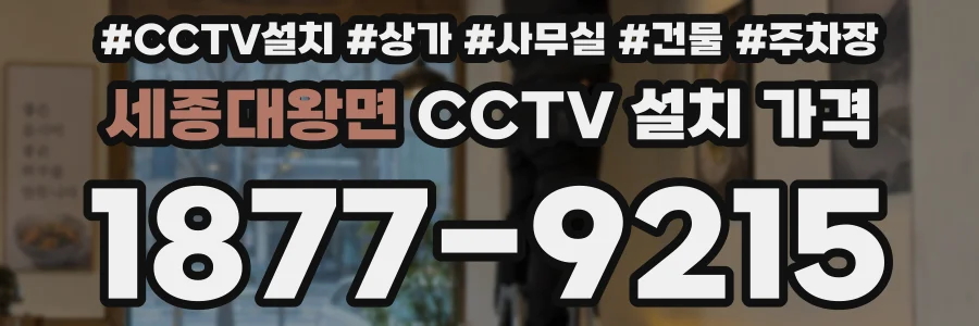 세종대왕면 CCTV 설치 가격