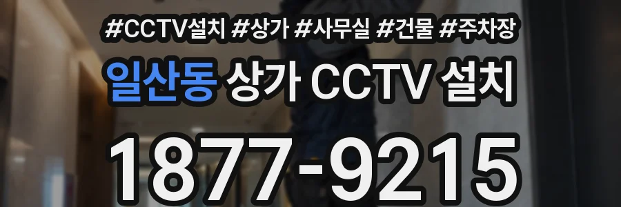 일산동 상가 CCTV 설치