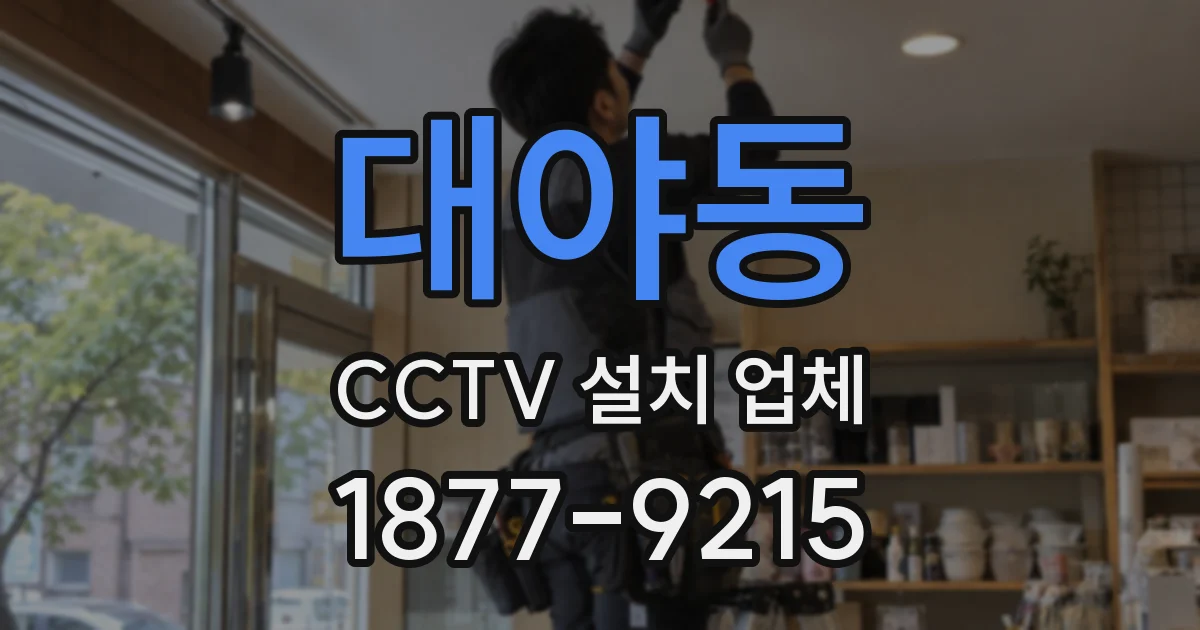 대야동 CCTV 설치 업체