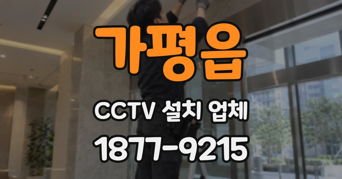가평읍 CCTV 설치 업체