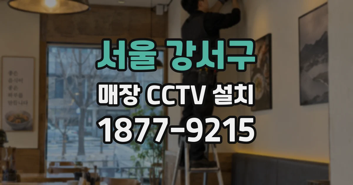 서울 강서구 매장 CCTV 설치