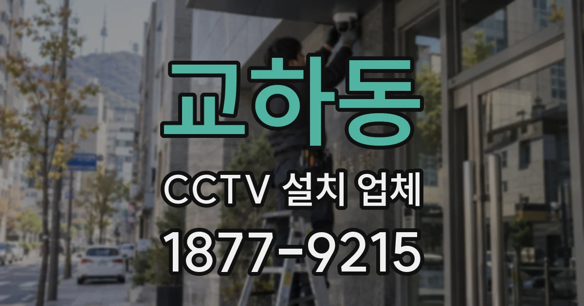 교하동 CCTV 설치 업체