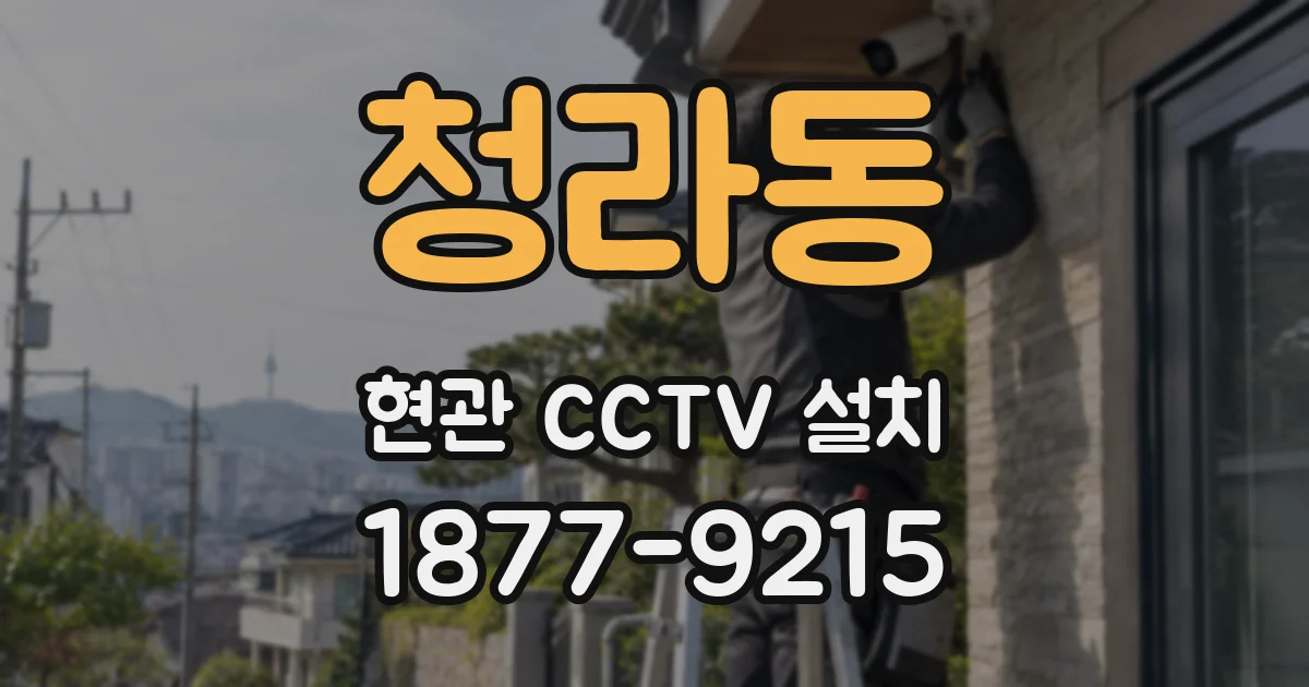 청라동 현관 CCTV 설치