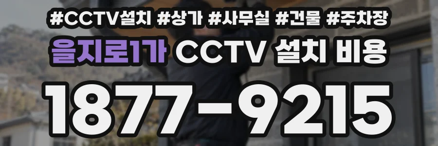 을지로1가 CCTV 설치 비용