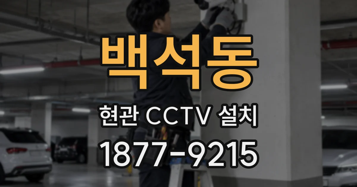 백석동 현관 CCTV 설치
