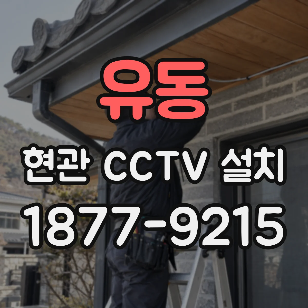 유동 현관 CCTV 설치