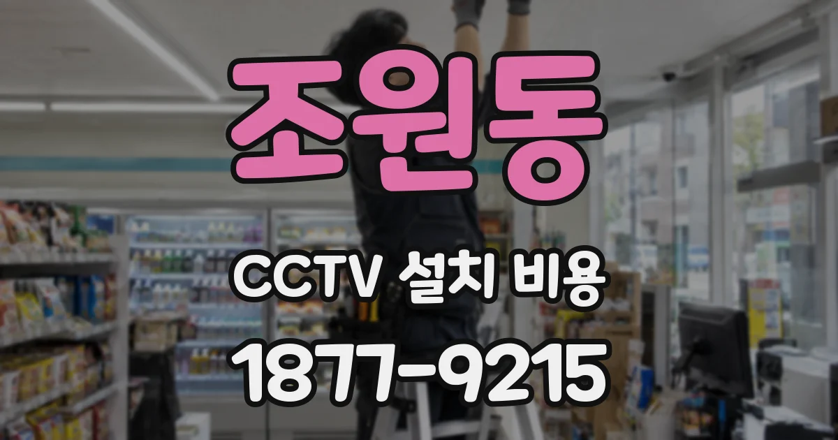 조원동 CCTV 설치 비용