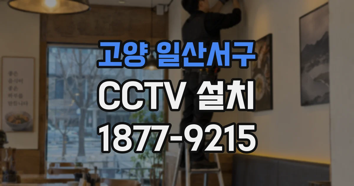 고양 일산서구 CCTV 설치