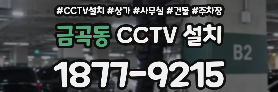 금곡동 CCTV 설치