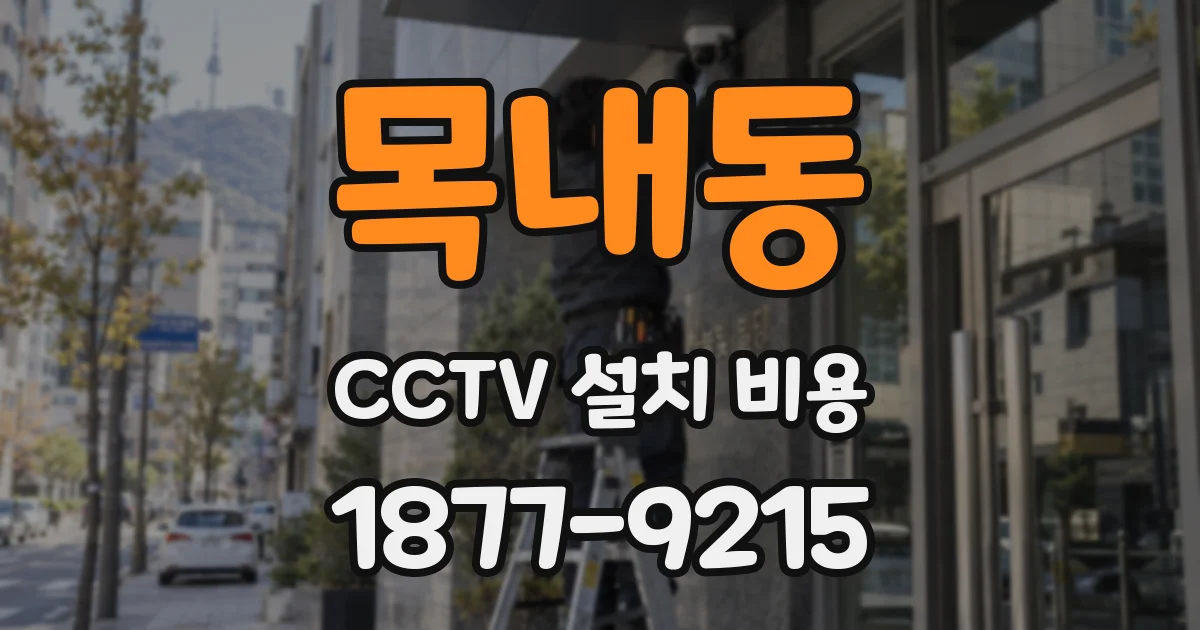 목내동 CCTV 설치 비용