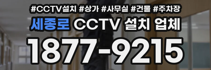 세종로 CCTV 설치 업체