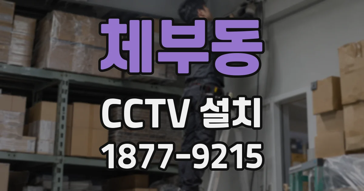 체부동 CCTV 설치