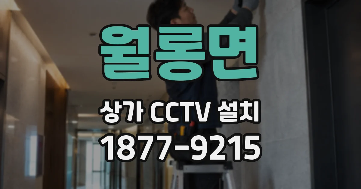 월롱면 상가 CCTV 설치