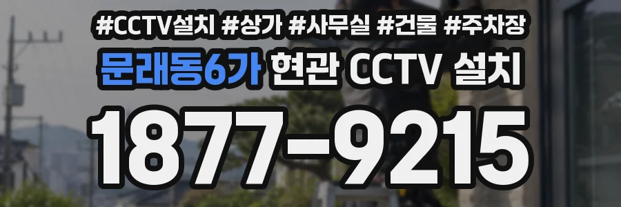 문래동6가 현관 CCTV 설치