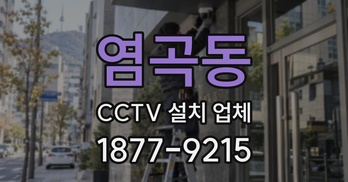 염곡동 CCTV 설치 업체