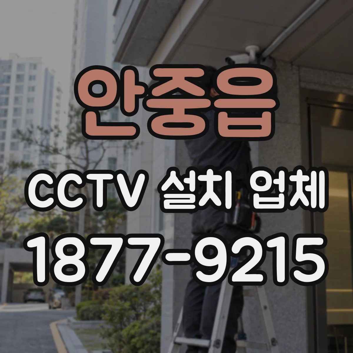 안중읍 CCTV 설치 업체