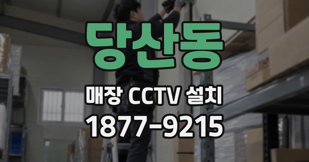 당산동 매장 CCTV 설치