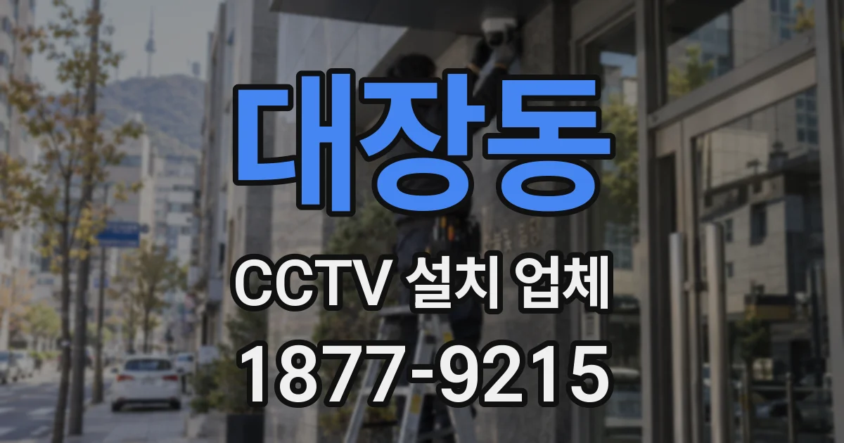 대장동 CCTV 설치 업체