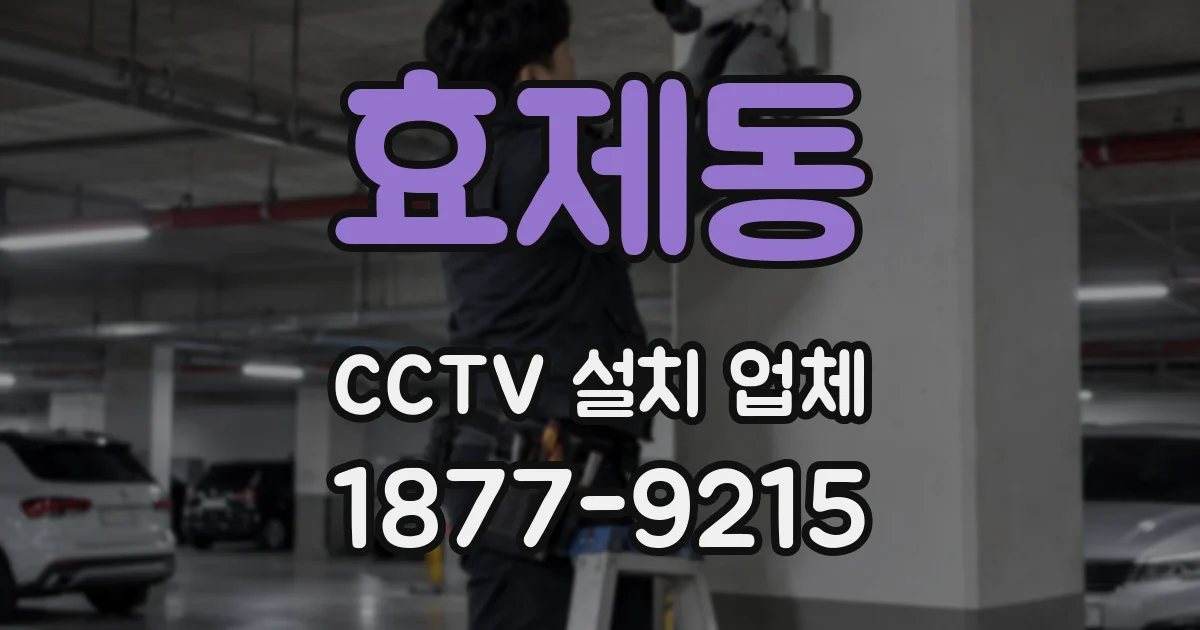 효제동 CCTV 설치 업체