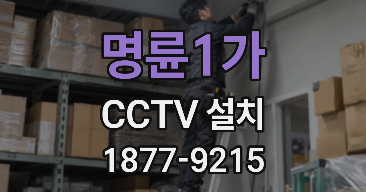 명륜1가 CCTV 설치