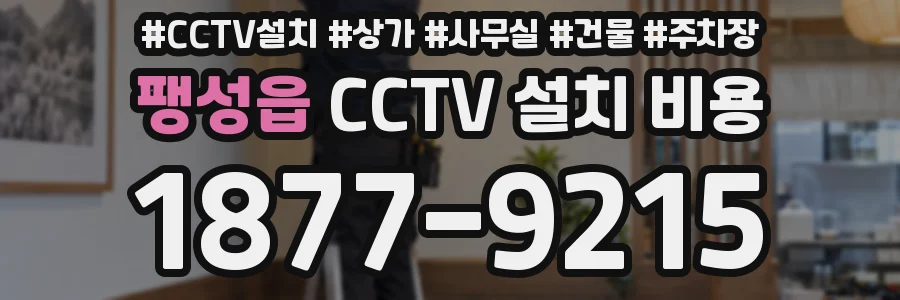 팽성읍 CCTV 설치 비용