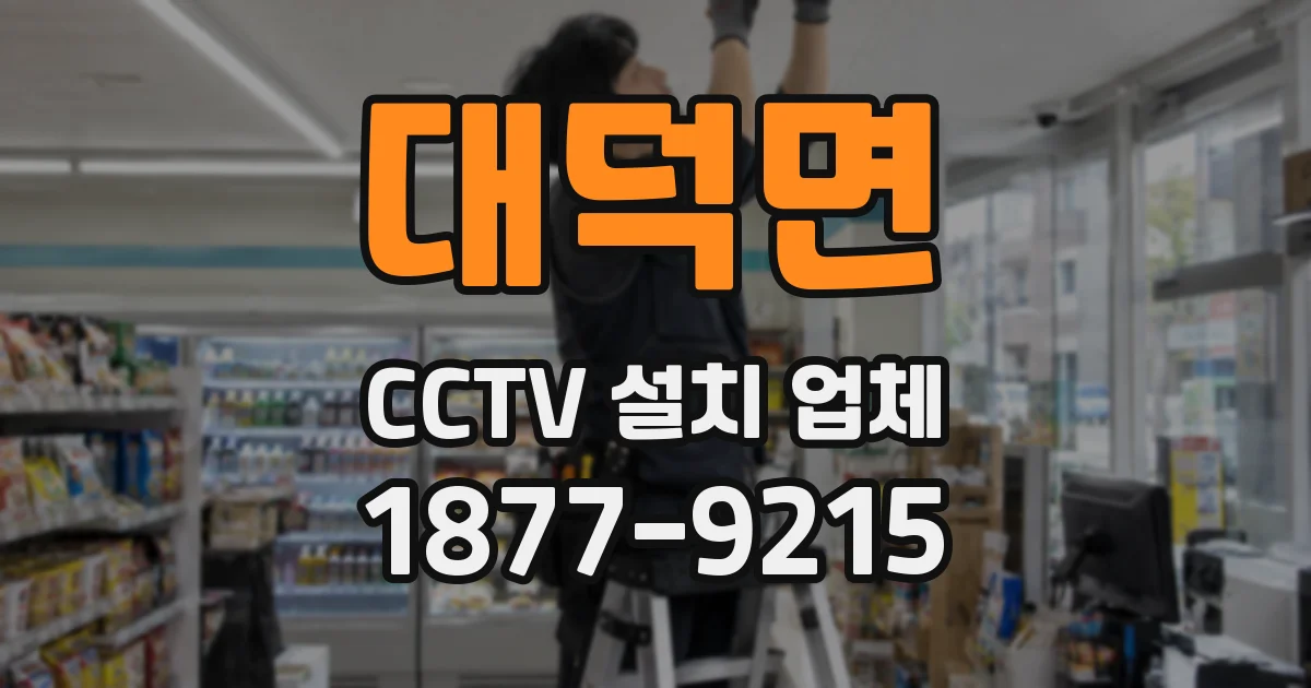대덕면 CCTV 설치 업체
