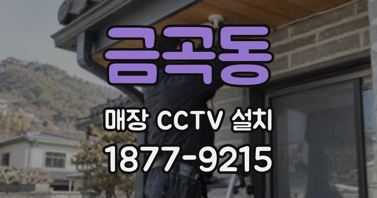금곡동 매장 CCTV 설치