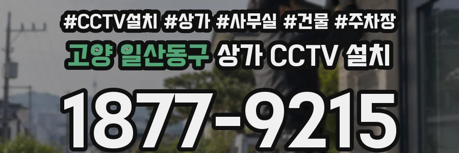 고양 일산동구 상가 CCTV 설치