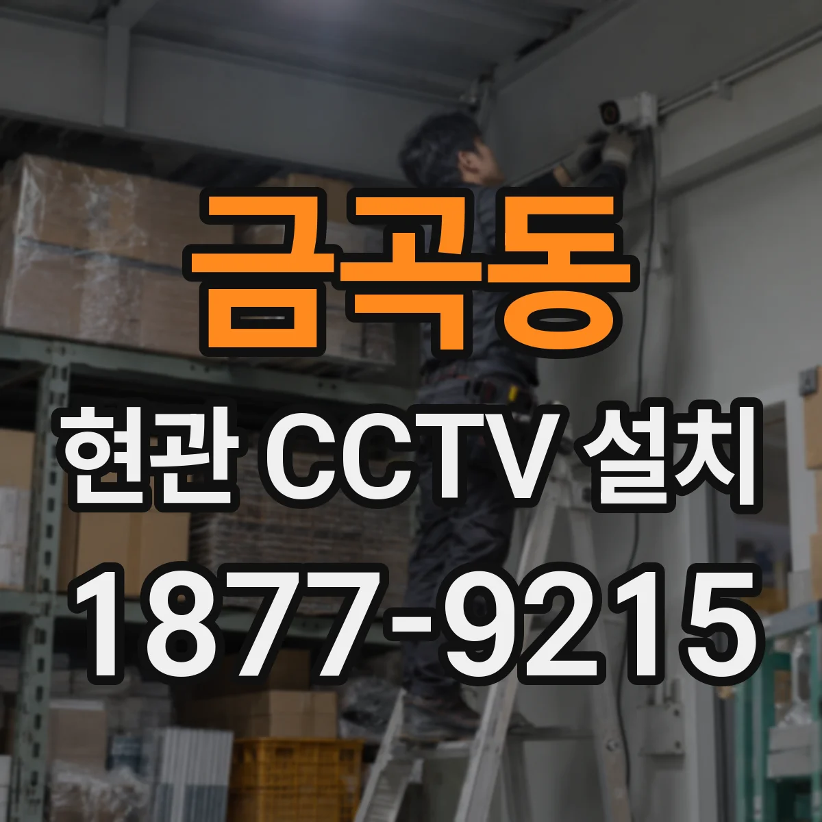 금곡동 현관 CCTV 설치