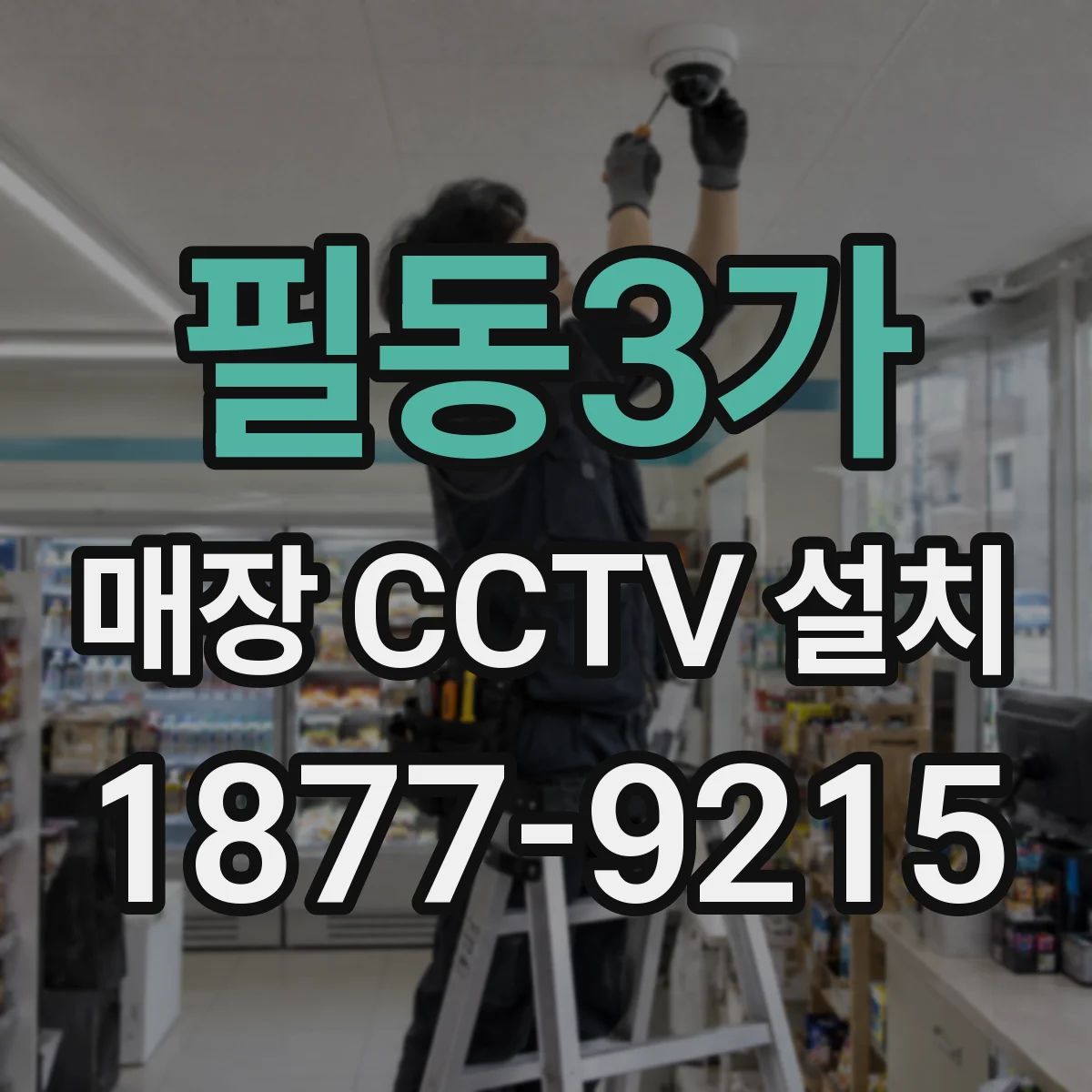 필동3가 매장 CCTV 설치
