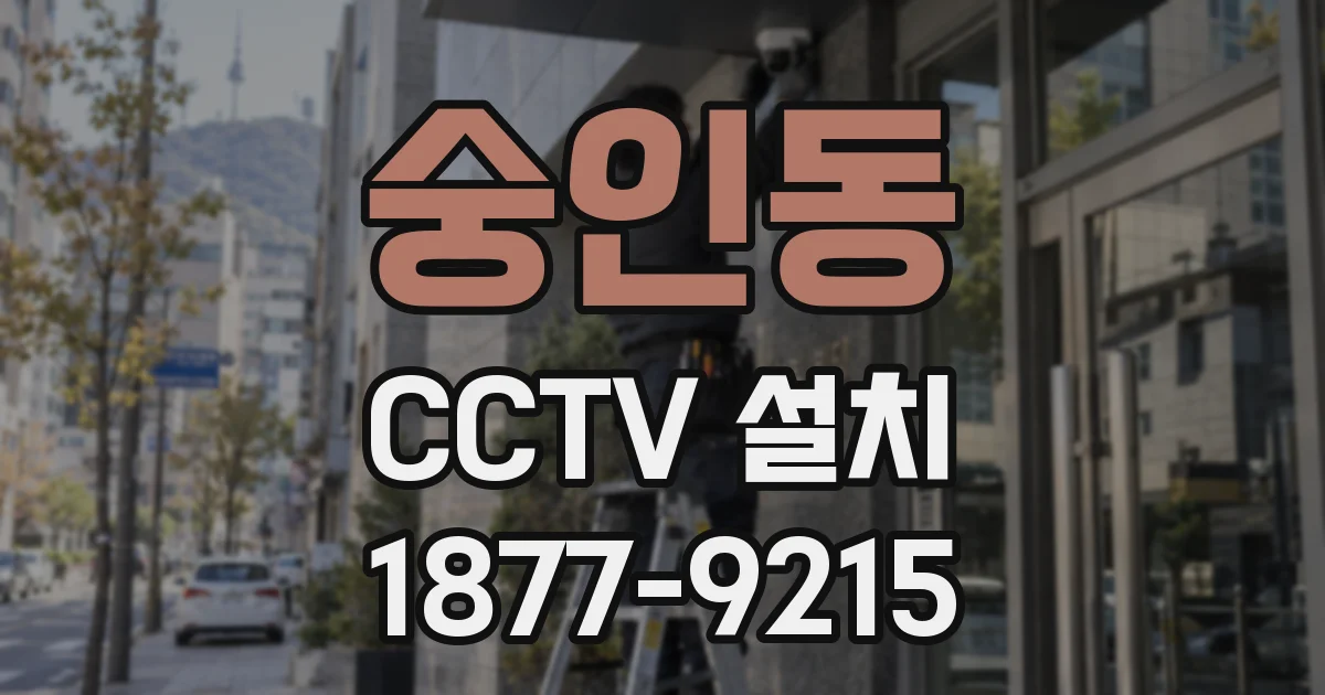 숭인동 CCTV 설치