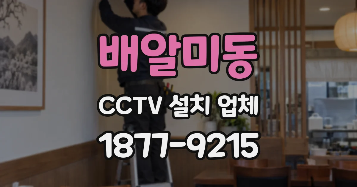 배알미동 CCTV 설치 업체