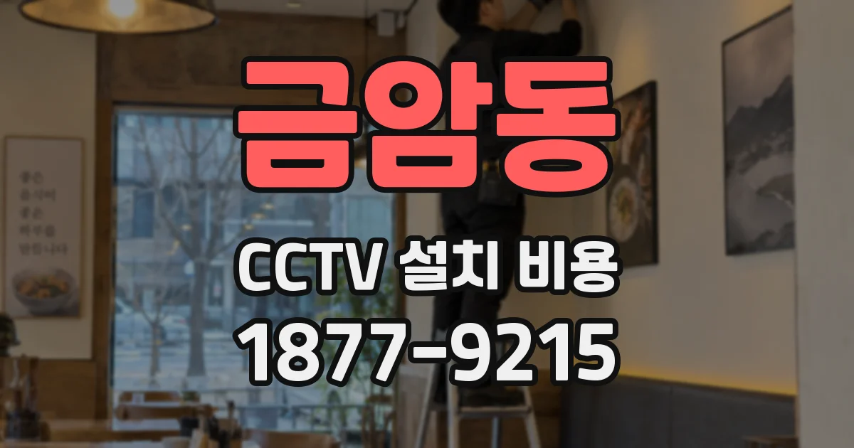금암동 CCTV 설치 비용
