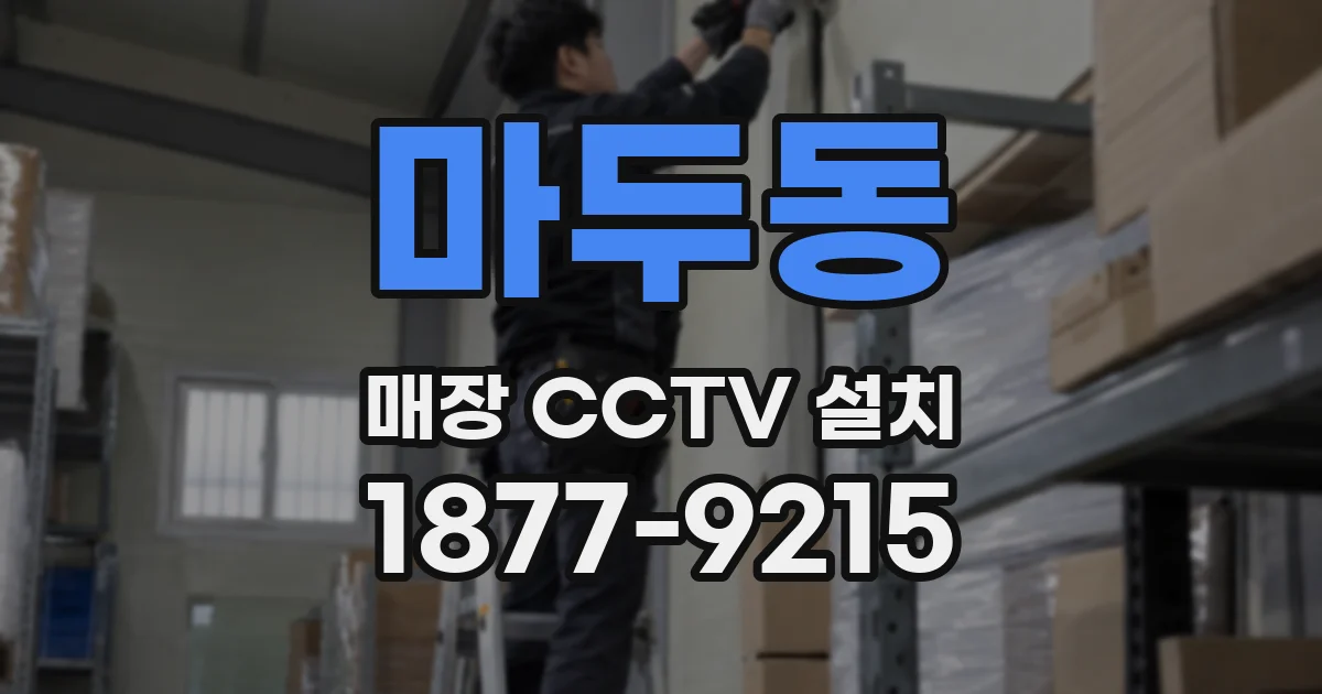 마두동 매장 CCTV 설치