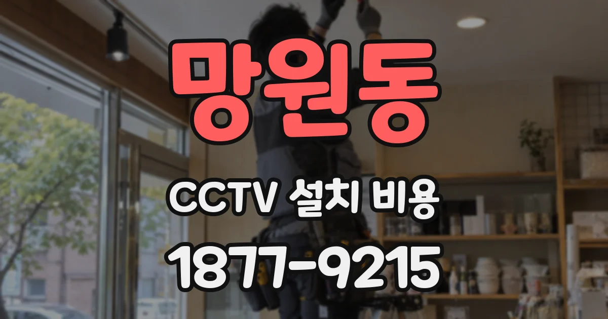 망원동 CCTV 설치 비용
