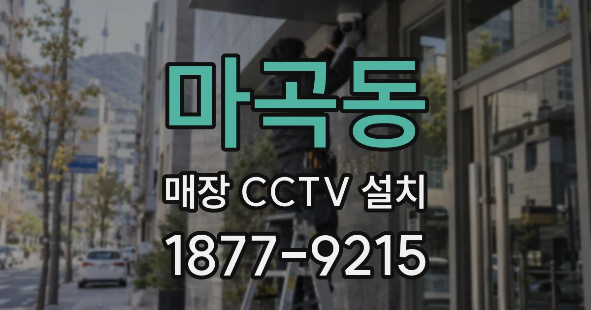 마곡동 매장 CCTV 설치