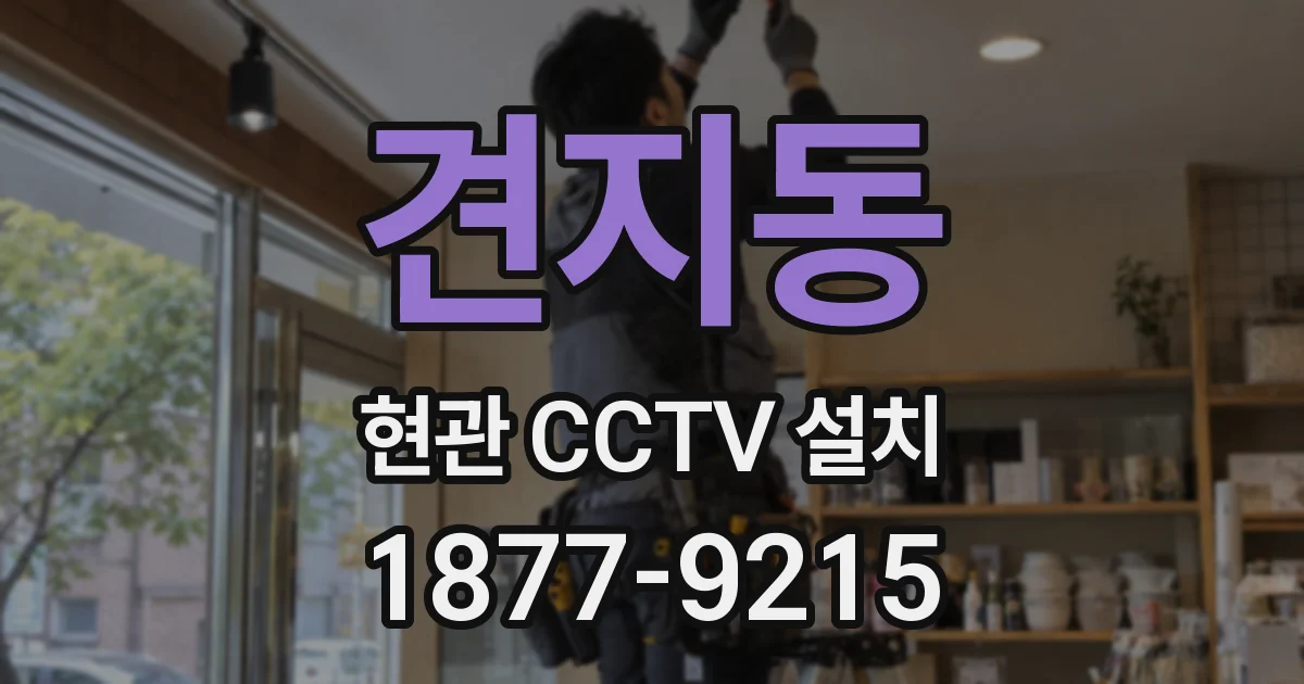 견지동 현관 CCTV 설치