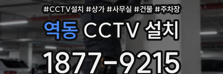 역동 CCTV 설치
