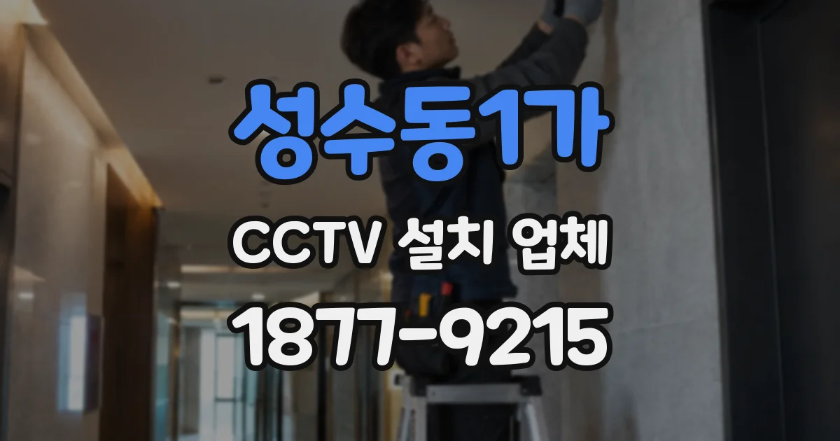성수동1가 CCTV 설치 업체