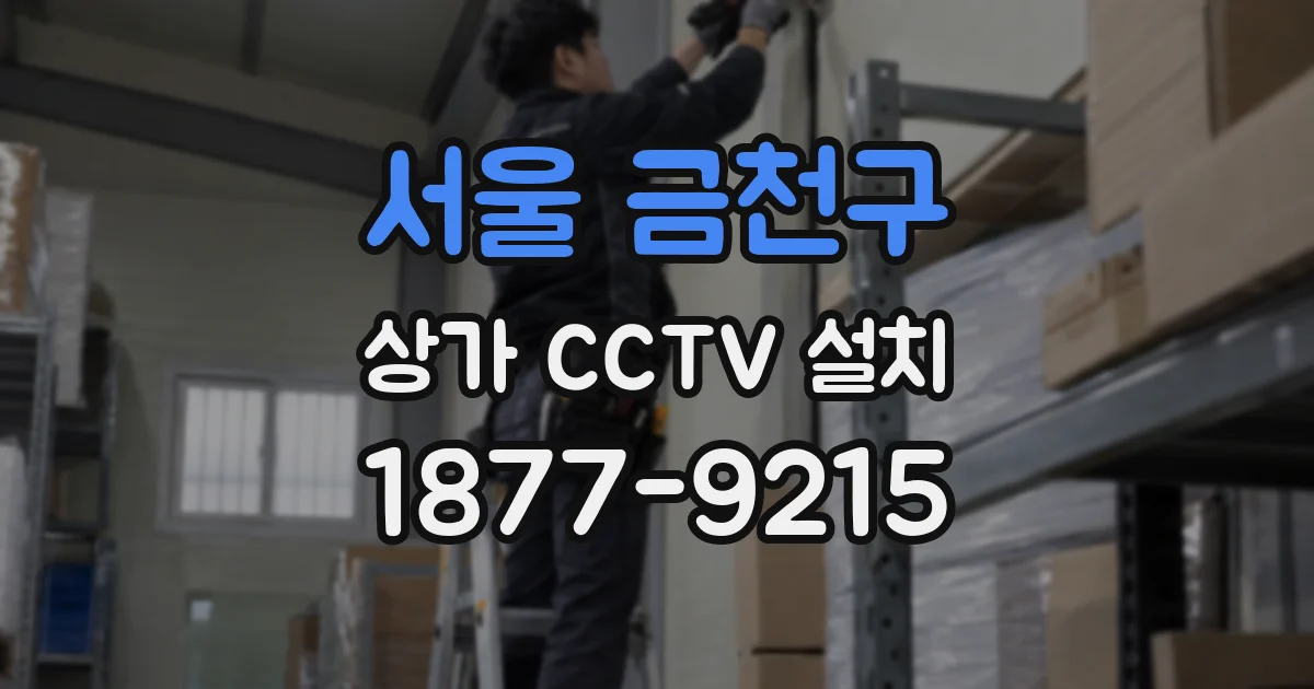 서울 금천구 상가 CCTV 설치