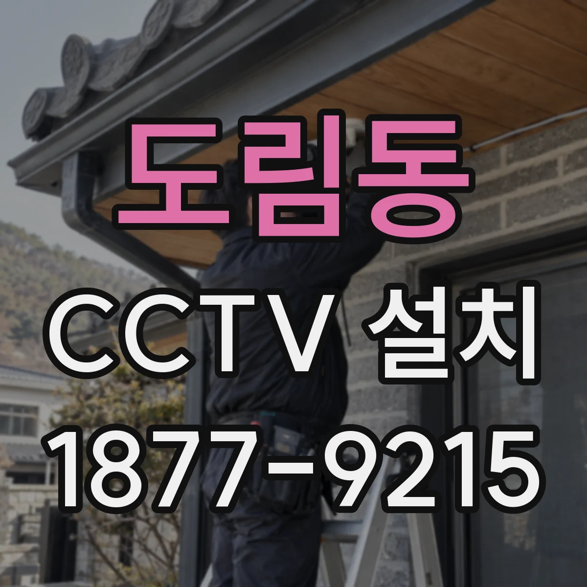 도림동 CCTV 설치
