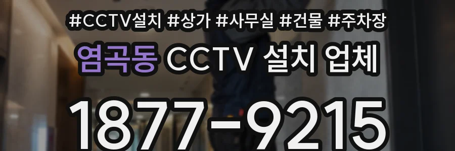 염곡동 CCTV 설치 업체