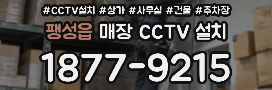 팽성읍 매장 CCTV 설치