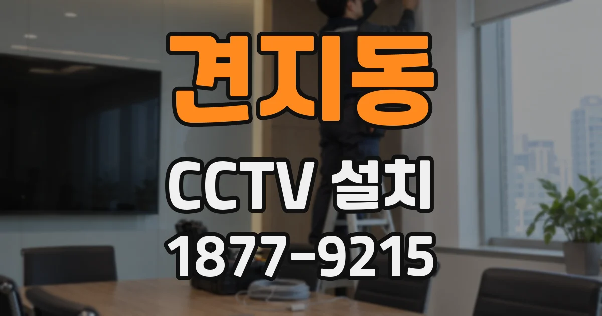 견지동 CCTV 설치