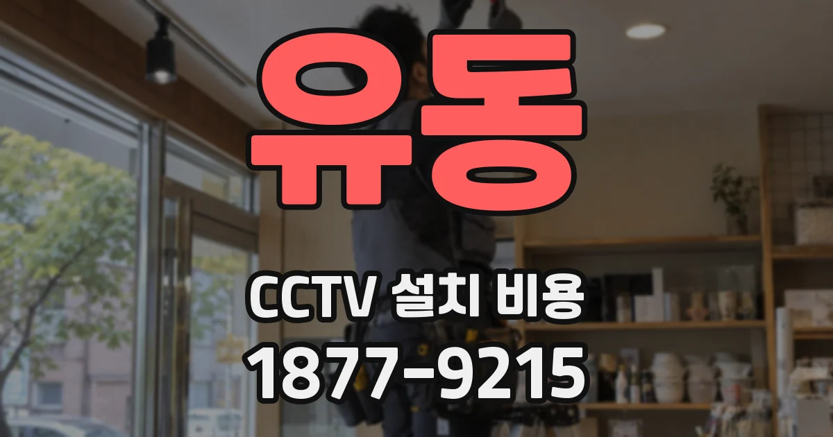 유동 CCTV 설치 비용